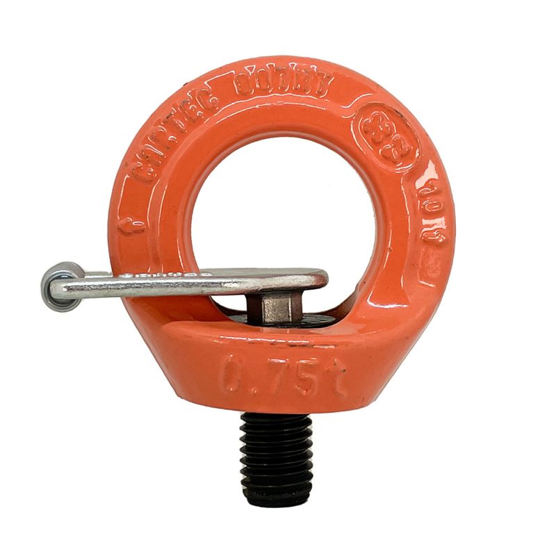 CARTEC Øyebolt M12 360g m/lås WLL 0,75t